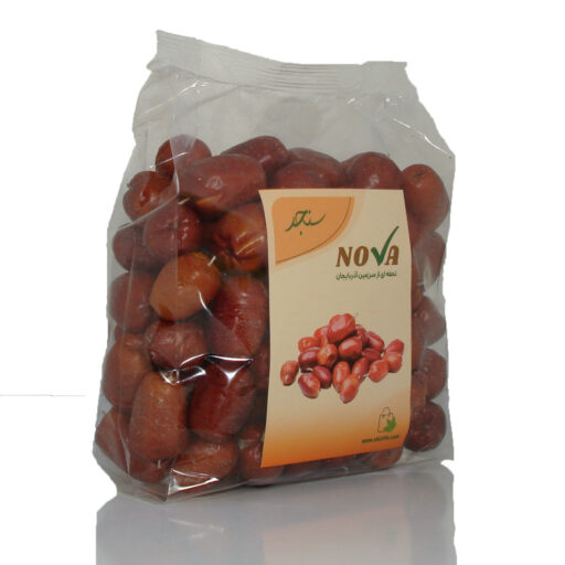 سنجد مجلسی نووا