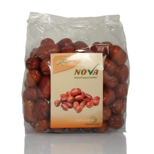 سنجد درشت مجلسی نووا