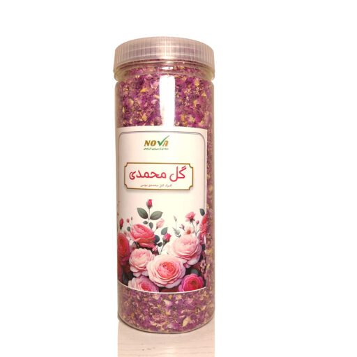 نمای کامل گلبرگ گل محمدی بومی - نووا